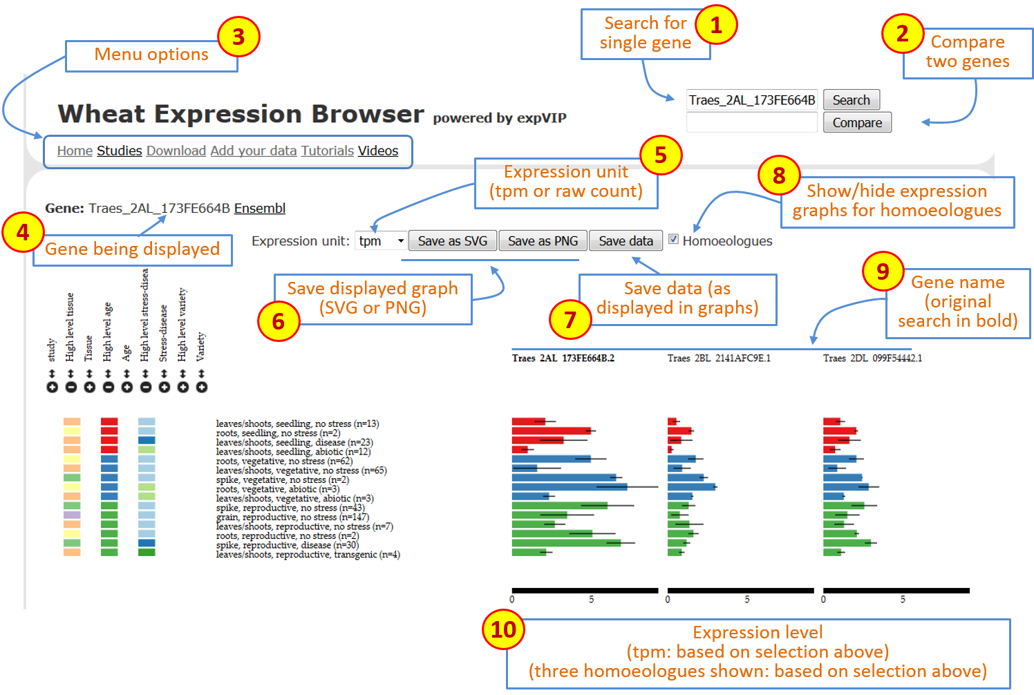 Figure 1: Overall description of features on Wheat Expression Browser