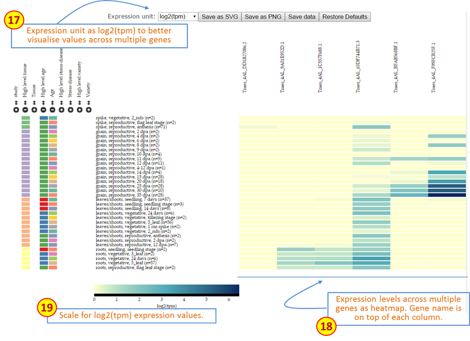 Figure 3: Description of features on Wheat Expression Browser using Multiple gene comparisons.