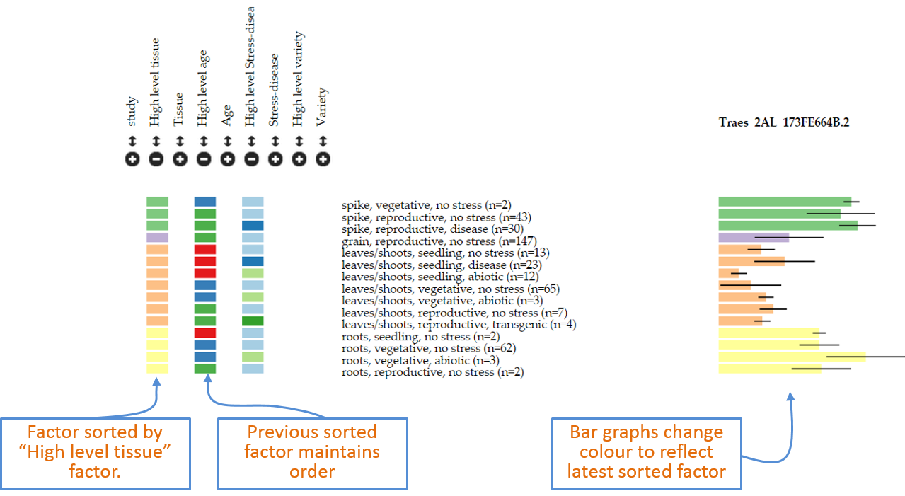 Figure 4: Example of new sorting of data based on clicking of rectangles within “high level tissue”.