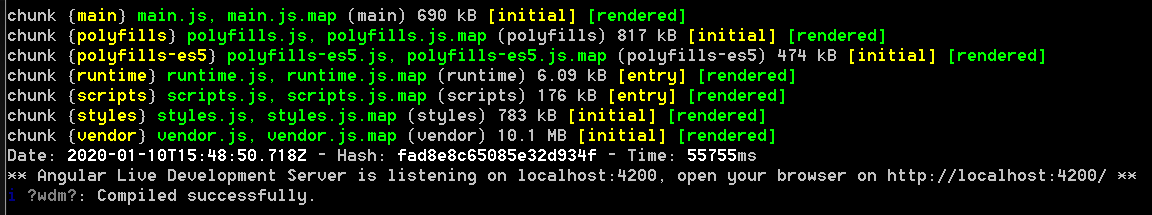 Angular CLI Output